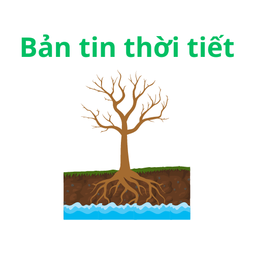 BẢN TIN DỰ BÁO, CẢNH BÁO KHÍ TƯỢNG THỦY VĂN THỜI HẠN MÙA TỈNH VĨNH LONG (Từ tháng 11/2025 đến tháng 4/2026)
